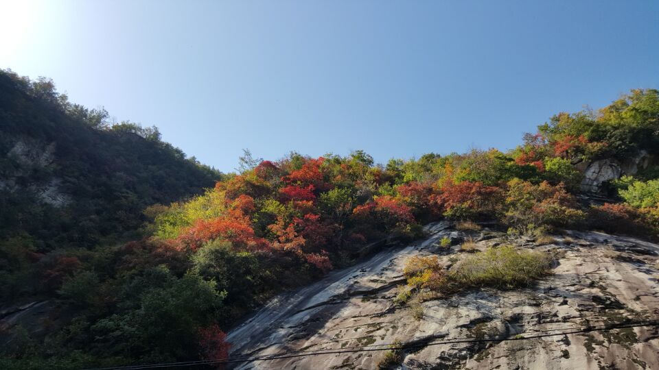 杨家墁风光16
