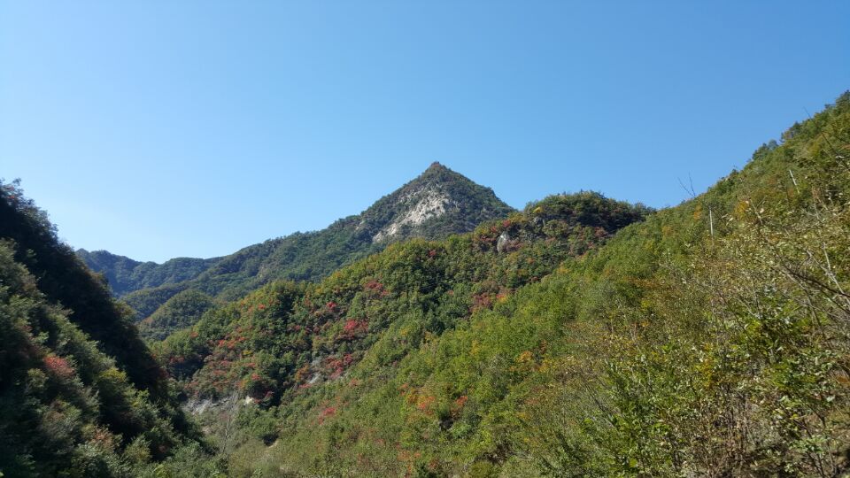 杨家墁风光15