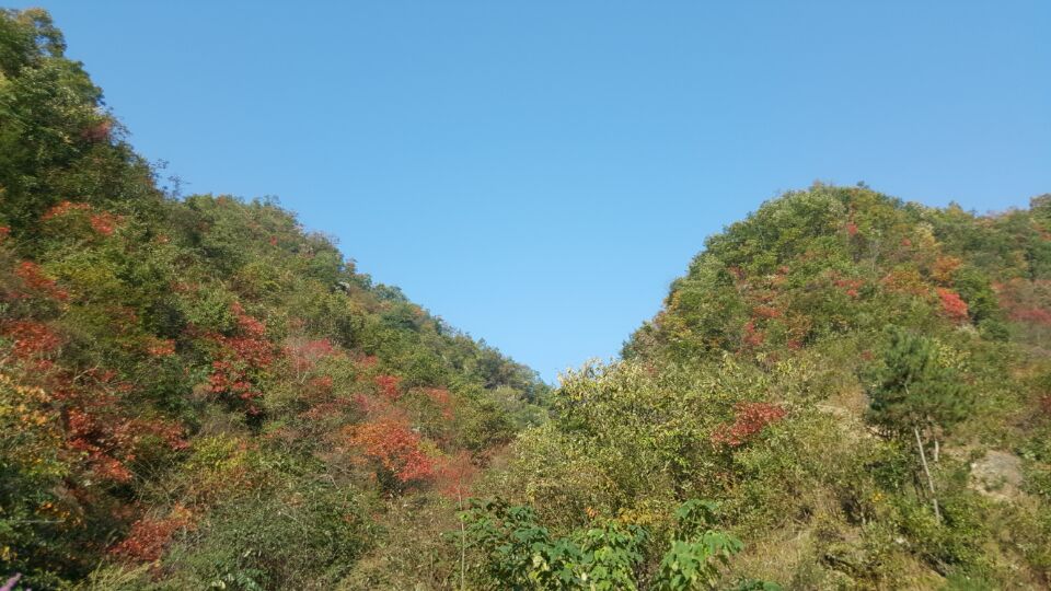 杨家墁风光19